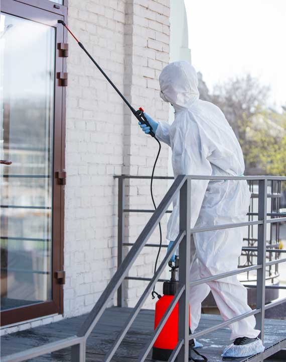 Pest Control Sec1