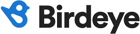 Birdeye Logo